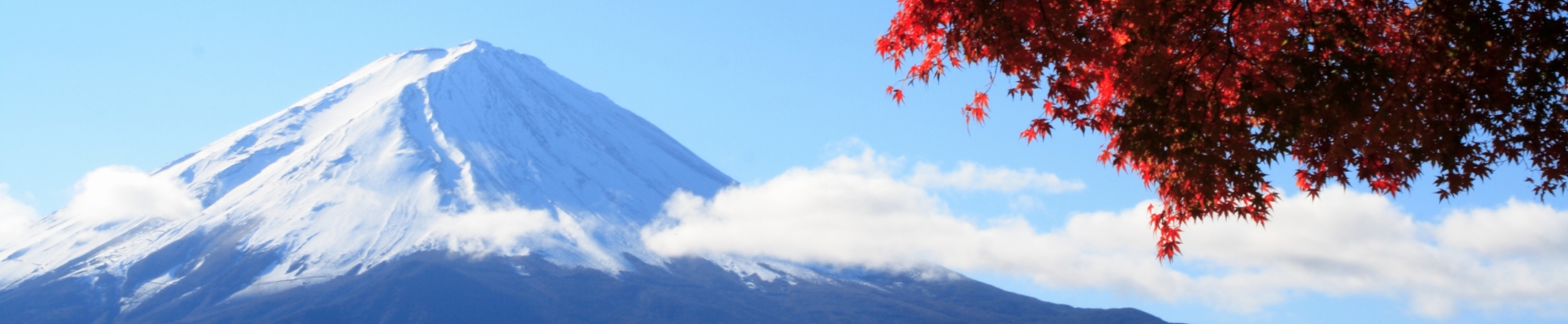 Mount Fuji